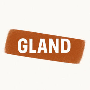 Apostille services Gland