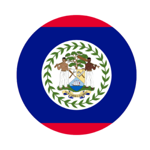 Apostille and Notary and Power of Attorney Services Belize