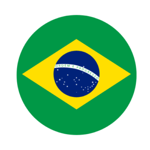 Apostille and Notary and Power of Attorney Services Brazil
