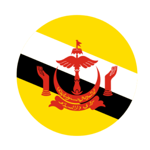Apostille and Notary and Power of Attorney Services Brunei