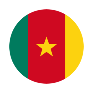 Apostille and Notary Services, Super Legalisations, Power of Attorney Cameroon